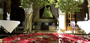 Le bassin de La Villa Nomade Marrakech