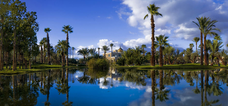  The best of marrakech 