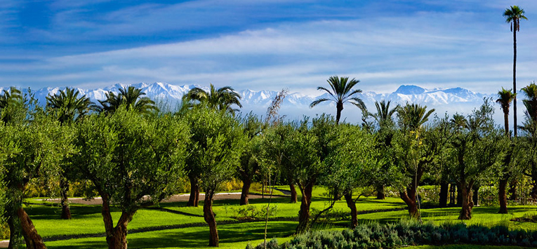  The best of marrakech 