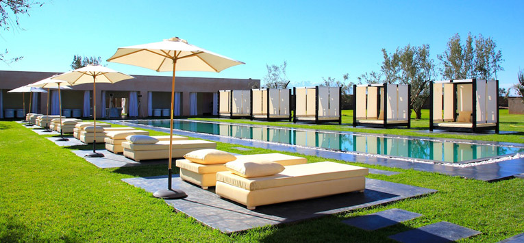  The best of marrakech 