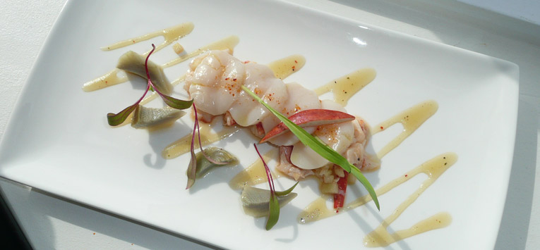  The best of marrakech 